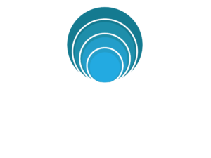 Protel Data Services Logo
